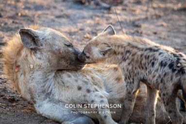 Environmental Photographer Africa
