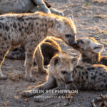 Environmental Photographer Africa
