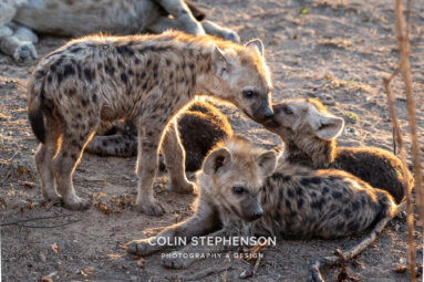 Environmental Photographer Africa