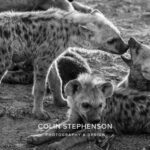 Environmental Photographer Africa