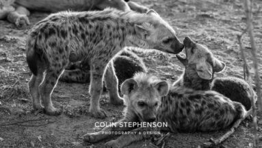 Environmental Photographer Africa