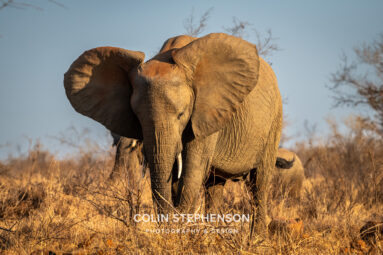 Environmental Photographer Africa