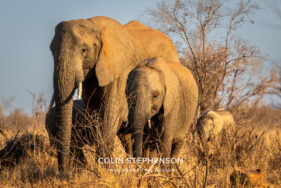 Environmental Photographer Africa