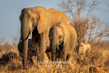 Environmental Photographer Africa