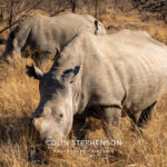 Environmental Photographer Africa
