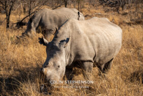 Environmental Photographer Africa