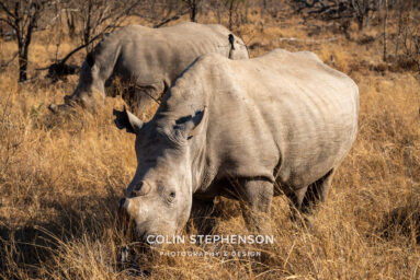 Environmental Photographer Africa
