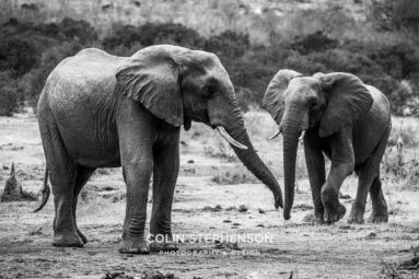 Environmental Photographer Africa