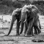 Environmental Photographer Africa