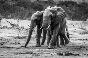 Environmental Photographer Africa