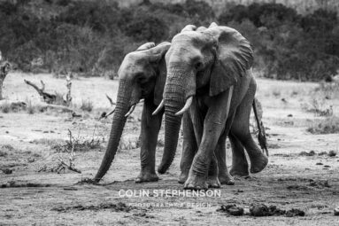 Environmental Photographer Africa