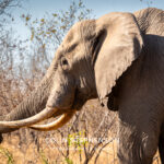 Environmental Photographer Africa