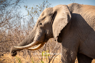 Environmental Photographer Africa