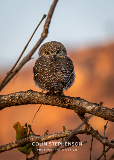 Environmental Photographer Africa