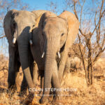 Environmental Photographer Africa
