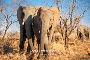 Environmental Photographer Africa