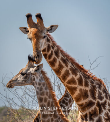 Environmental Photographer Africa