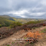 Environmental Photographer Africa: Telling the Story of Our Planet's Future