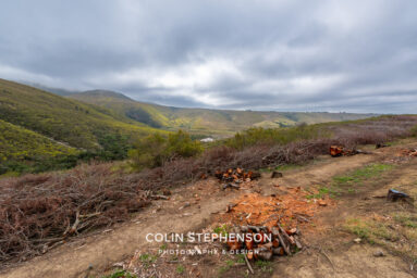 Environmental Photographer Africa: Telling the Story of Our Planet's Future