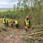 Environmental Photographer Africa: Telling the Story of Our Planet's Future