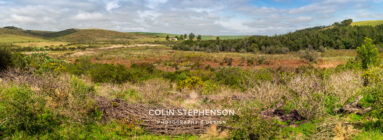 Environmental Photographer Africa: Telling the Story of Our Planet's Future