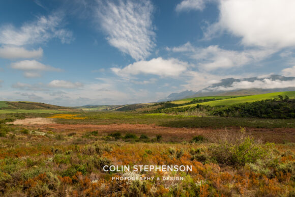 Environmental Photographer South Africa