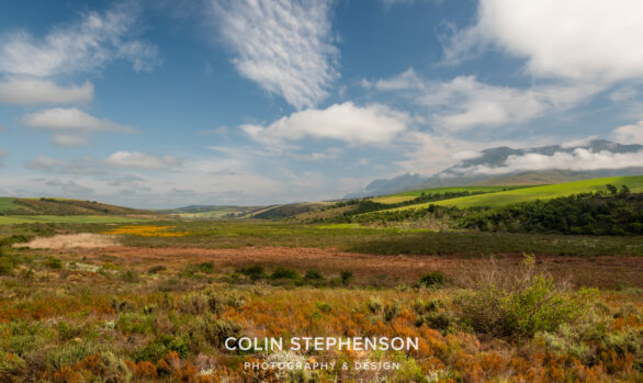 Environmental Photographer South Africa