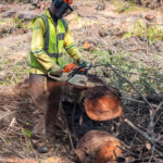 Environmental Photographer Africa: Telling the Story of Our Planet's Future