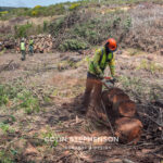 Environmental Photographer Africa: Telling the Story of Our Planet's Future