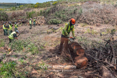 Environmental Photographer Africa: Telling the Story of Our Planet's Future