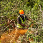 Environmental Photographer Africa: Telling the Story of Our Planet's Future