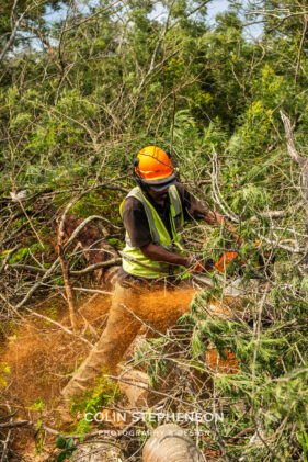 Environmental Photographer Africa: Telling the Story of Our Planet's Future