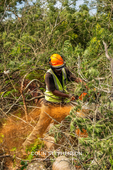 Environmental Photographer Africa: Telling the Story of Our Planet's Future