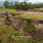 Environmental Photographer Africa: Telling the Story of Our Planet's Future