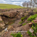 Environmental Photographer Africa: Telling the Story of Our Planet's Future