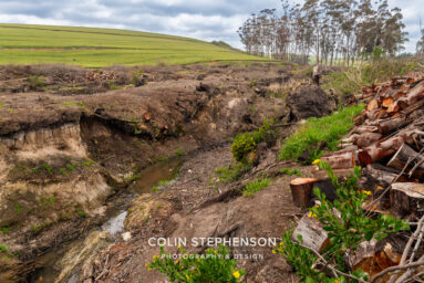 Environmental Photographer Africa: Telling the Story of Our Planet's Future