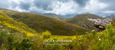 Environmental Photographer Africa: Telling the Story of Our Planet's Future