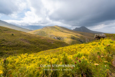 Environmental Photographer Africa: Telling the Story of Our Planet's Future