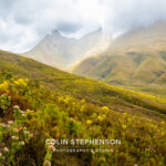 Environmental Photographer Africa: Telling the Story of Our Planet's Future