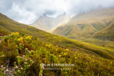 Environmental Photographer Africa: Telling the Story of Our Planet's Future