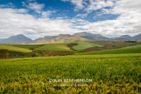 Environmental Photographer Africa: Telling the Story of Our Planet's Future