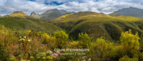 Environmental Photographer Africa: Telling the Story of Our Planet's Future