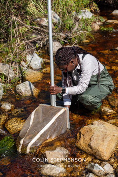 Environmental Photographer Africa
