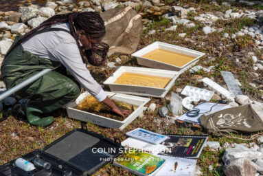 Environmental Photographer Africa