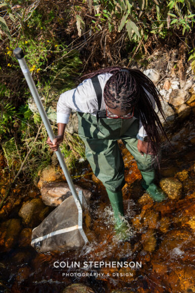 Environmental Photographer Africa