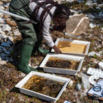 Environmental Photographer Africa