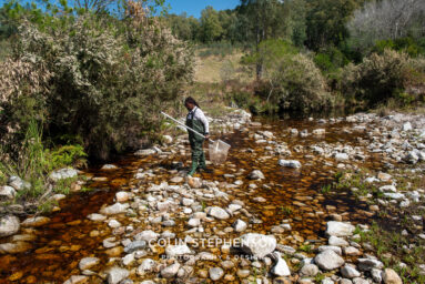 Environmental Photographer Africa