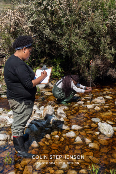 Environmental Photographer Africa