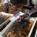 Environmental Photographer Africa