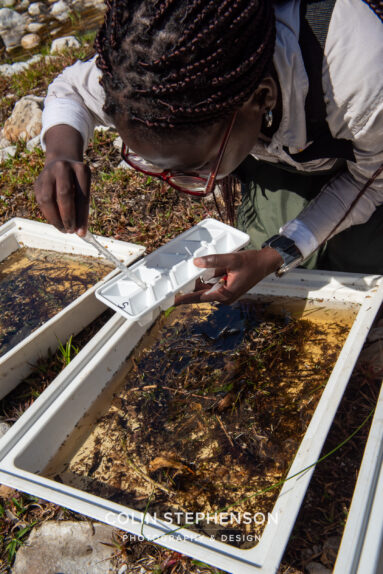 Environmental Photographer Africa